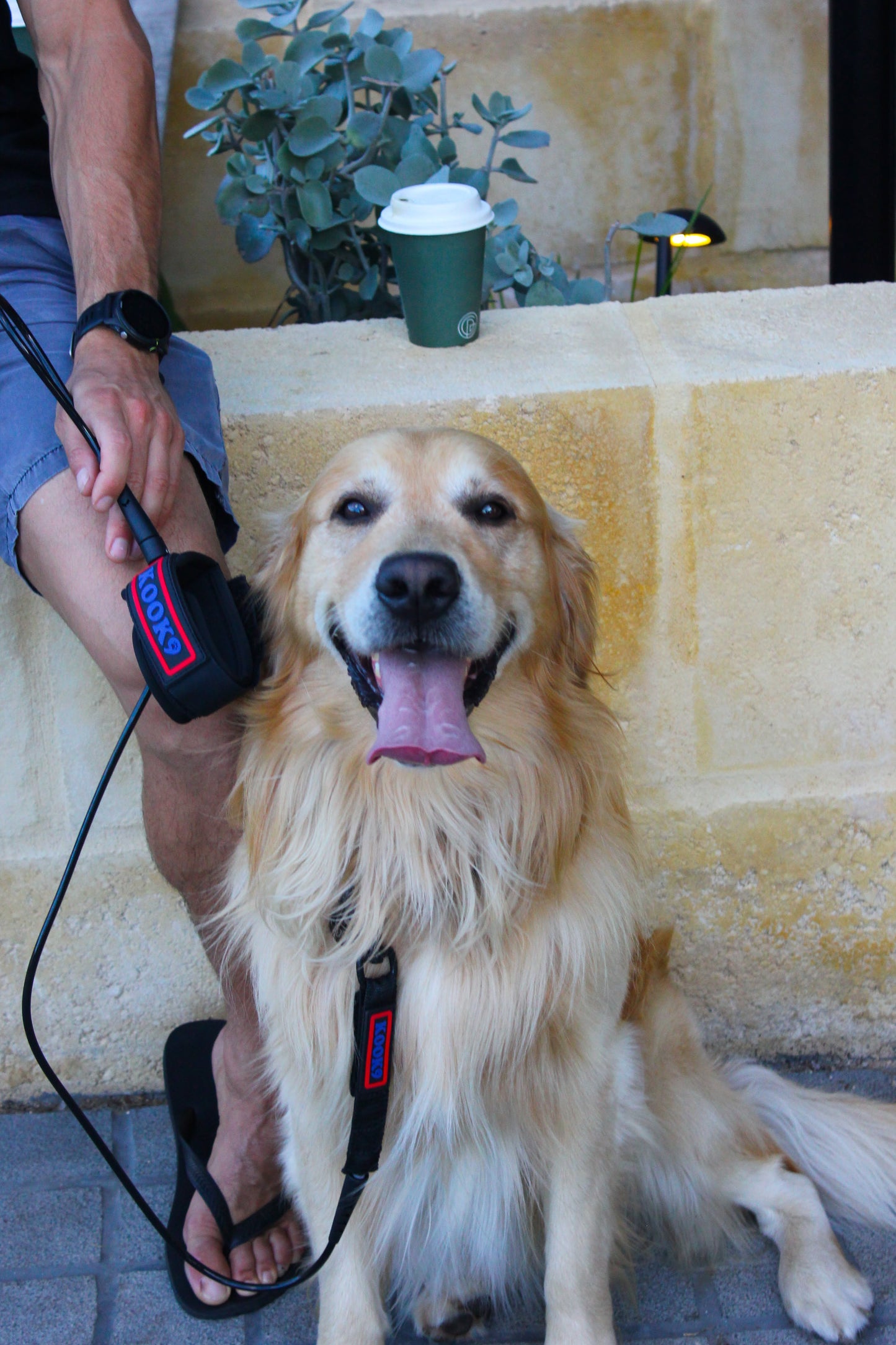 KOOK9 Premium Dog Lead